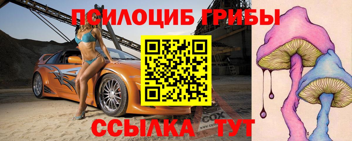 Галлюциногенные грибы Magic Shrooms  Вход с VPN  Галлюциногенные грибы Cubensis  Серов 