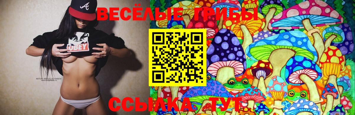 Галлюциногенные грибы Psilocybe Серов